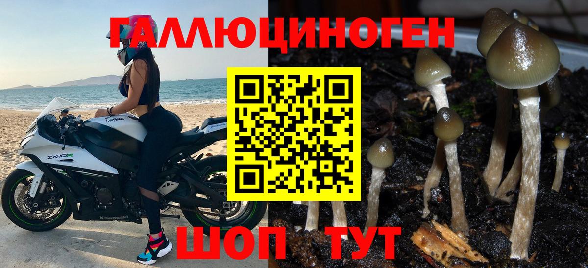 Ртищево  Псилоцибиновые грибы мицелий  цена   Вход с VPN 