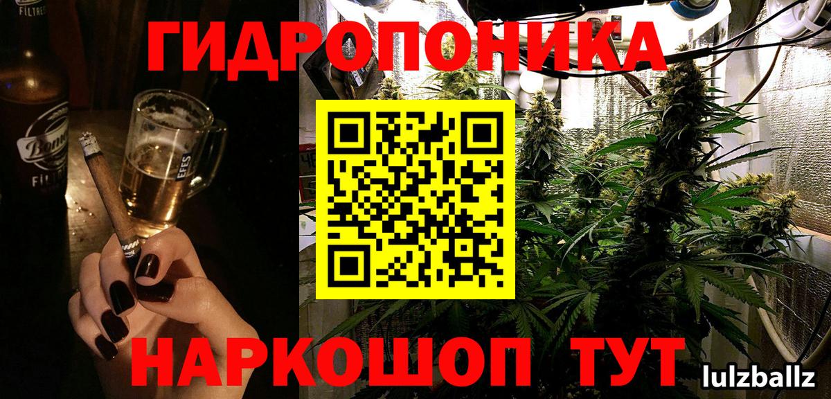 Бошки Шишки MAZAR Ртищево